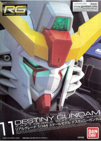 RG 1/144 Gundam Destiny Spare Parts