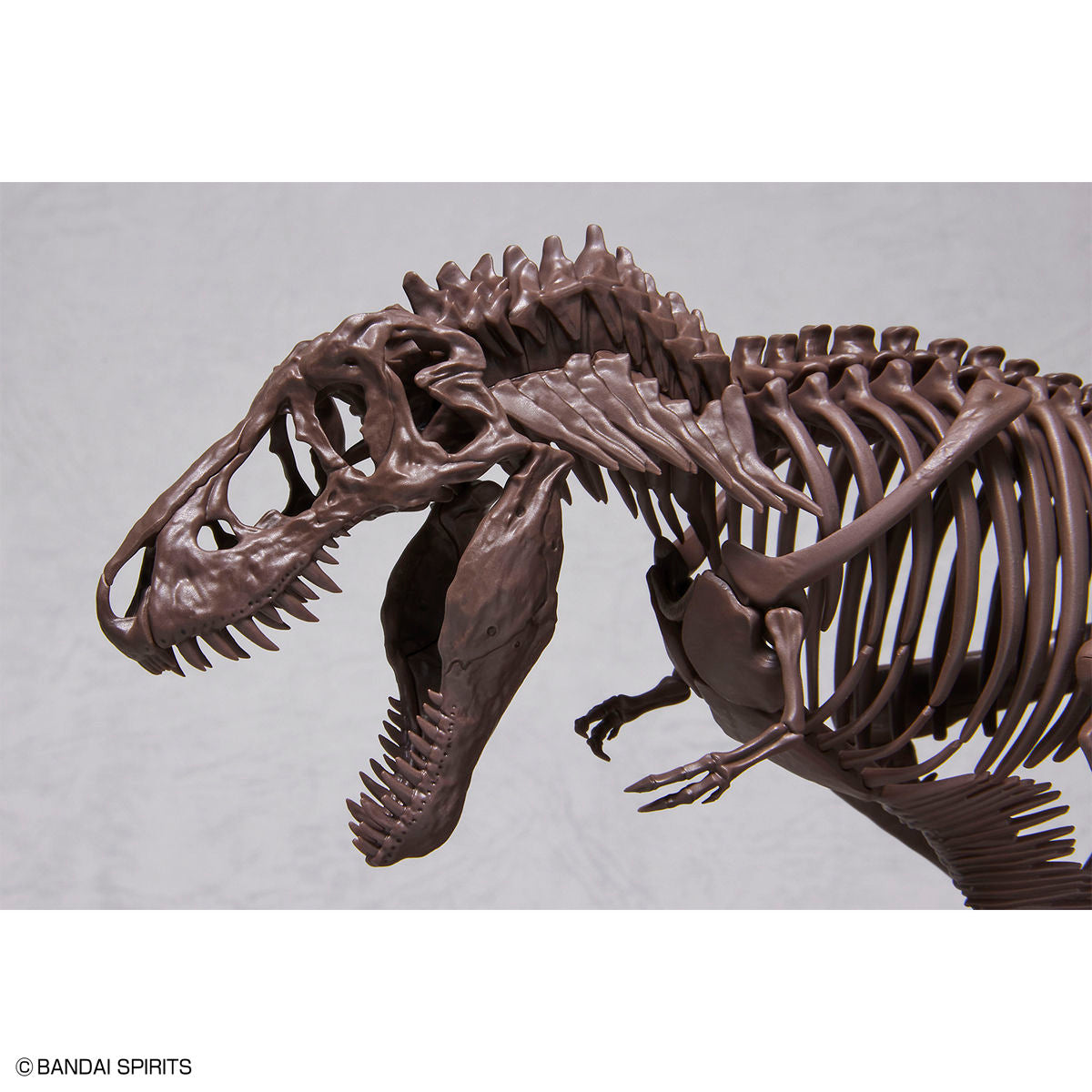 1/32 Imaginary Skeleton Tyrannosaurus