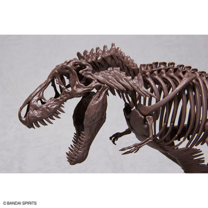 1/32 Imaginary Skeleton Tyrannosaurus