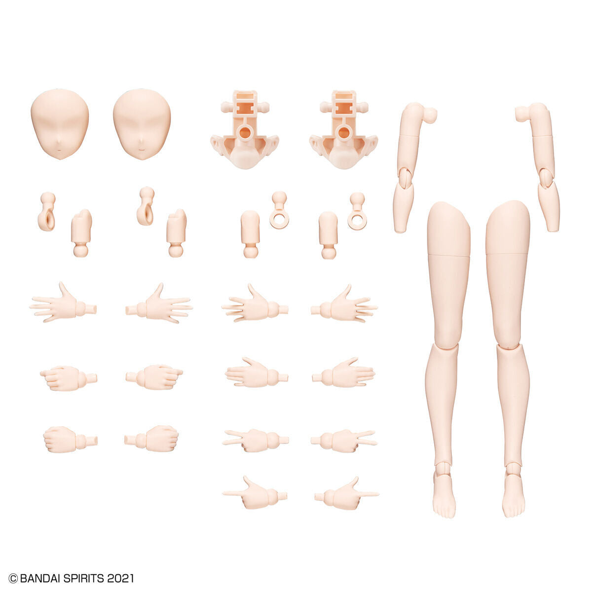 30MS Optional Body Parts Arm Parts & Leg Parts [Color B]