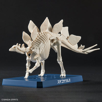 Planosaurus Stegosaurus