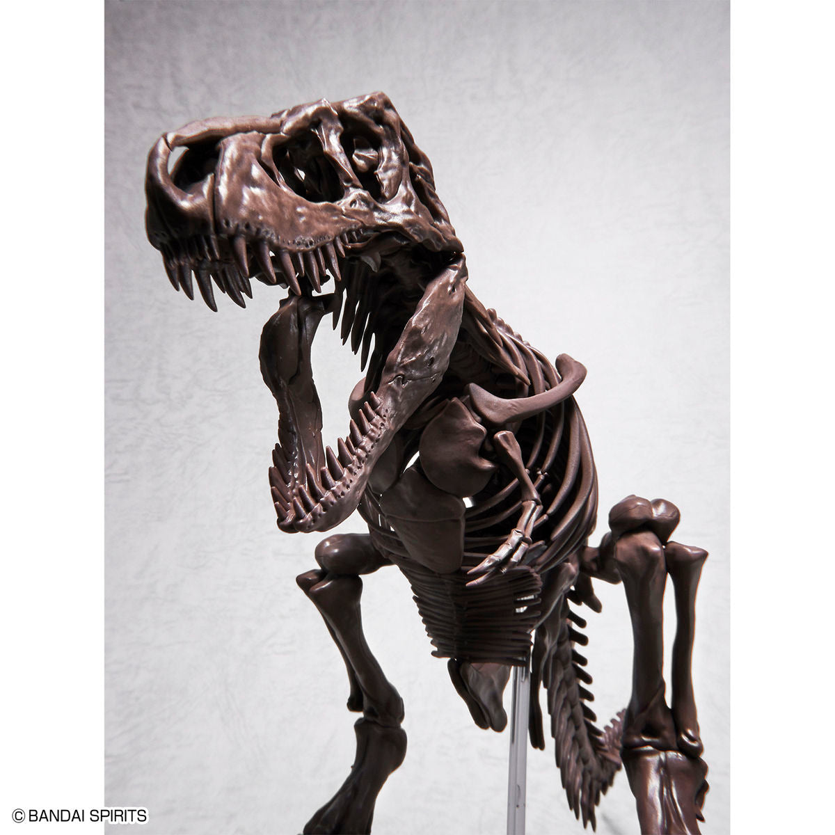 1/32 Imaginary Skeleton Tyrannosaurus