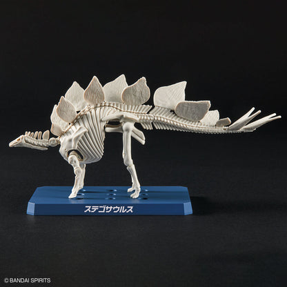 Planosaurus Stegosaurus