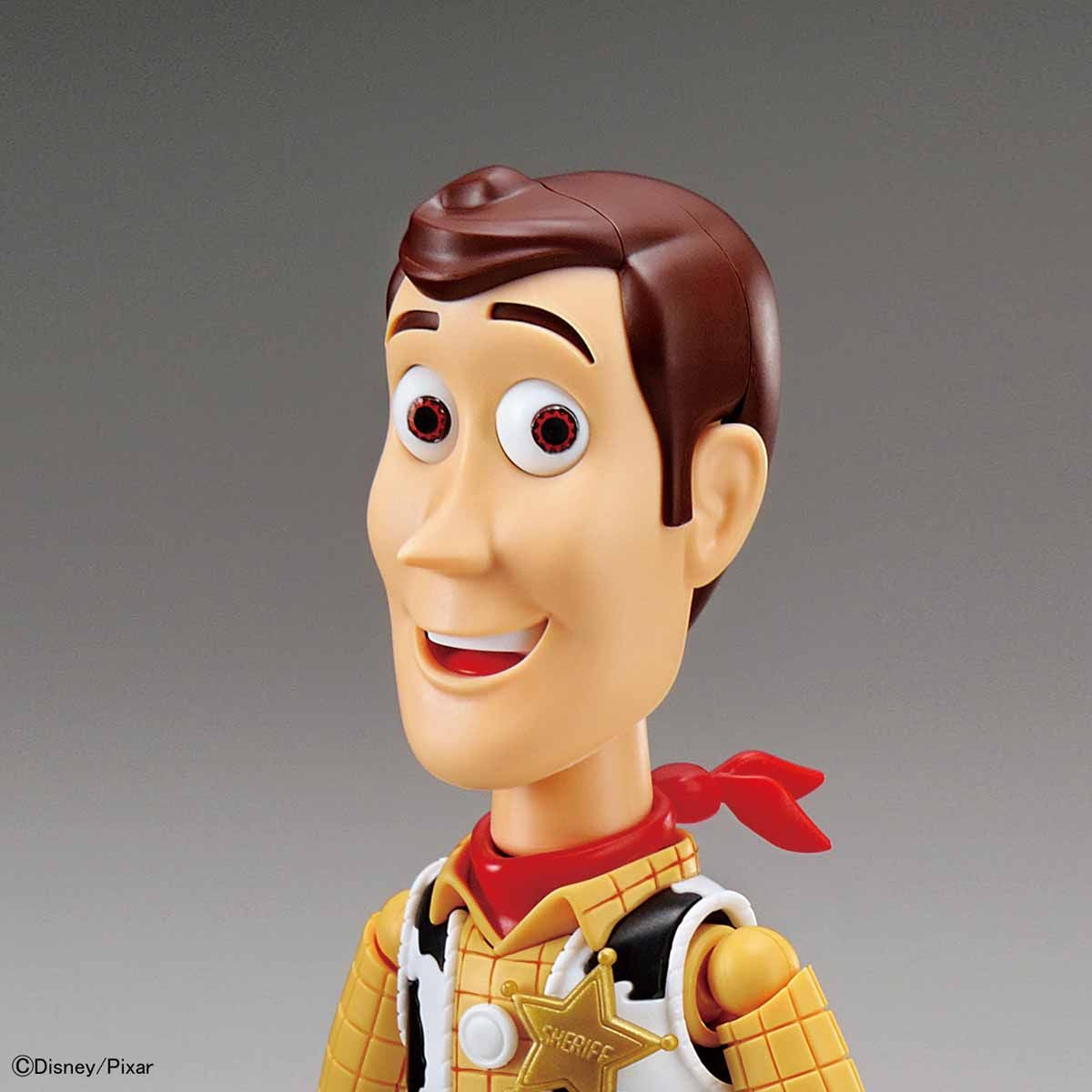 Toy Story 4 Woody