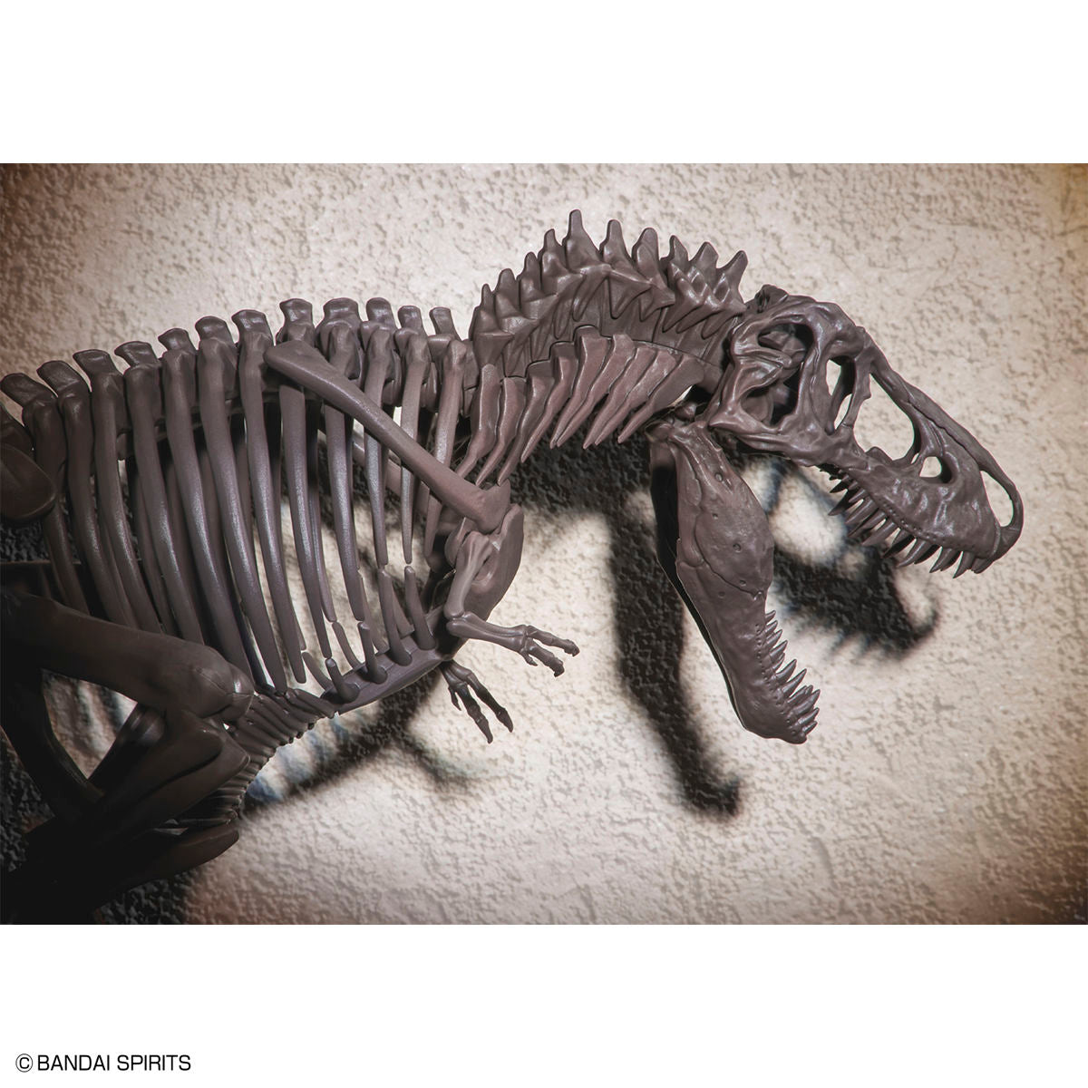 1/32 Imaginary Skeleton Tyrannosaurus