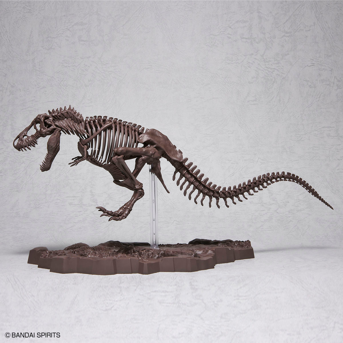 1/32 Imaginary Skeleton Tyrannosaurus