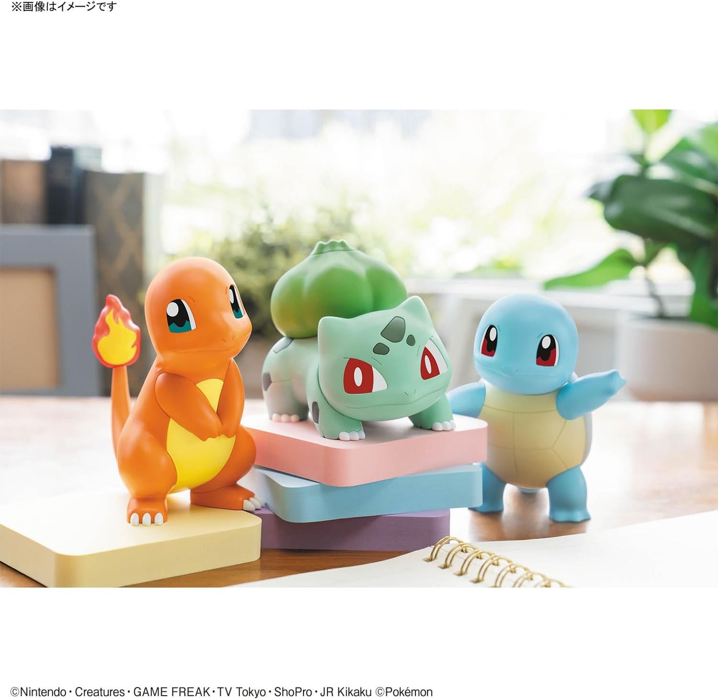 Charmander, Bulbasaur & Squirtle Plamo Pokemon Collection