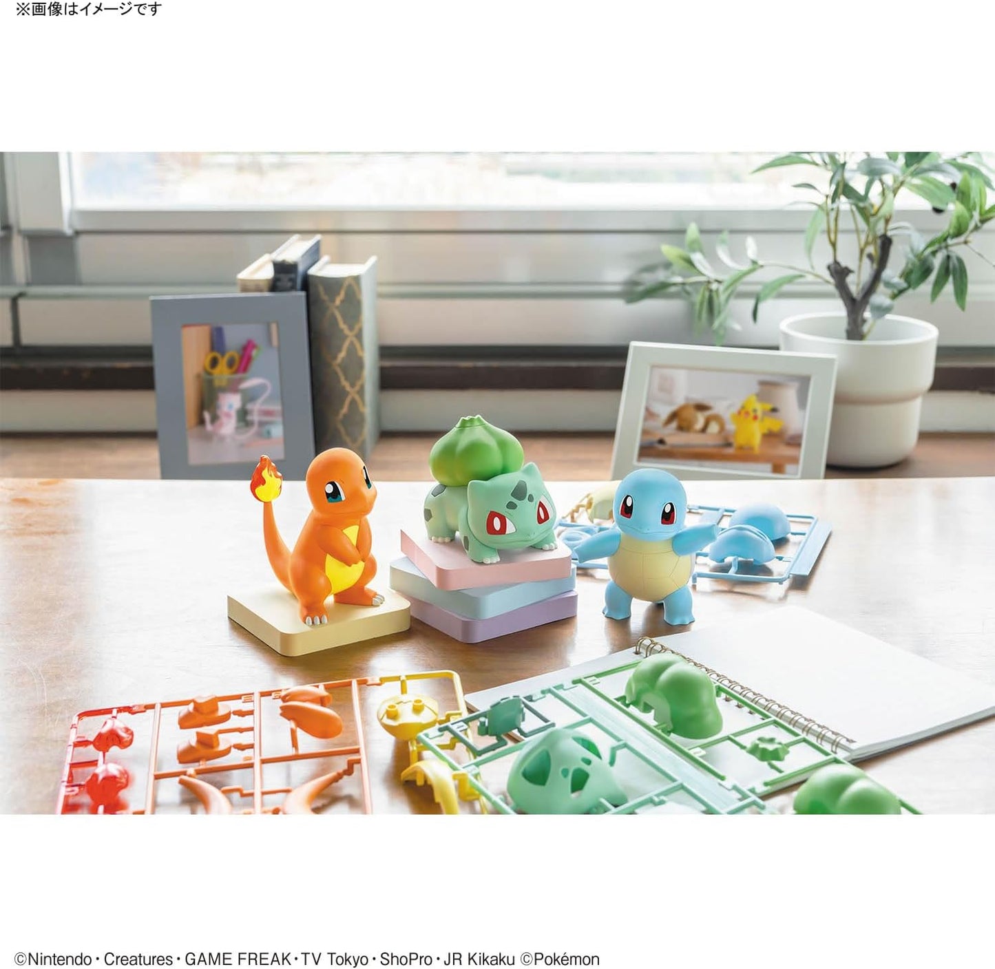 Charmander, Bulbasaur & Squirtle Plamo Pokemon Collection