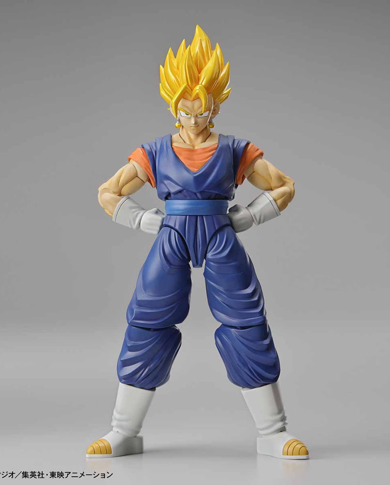 Dragon Ball Z Super Saiyan Vegetto Bandai Kit