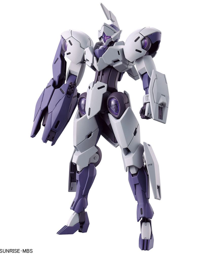 HG 1/144 Michaelis